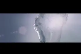 【跟着镜头游龙江】春游邂逅“绝色”春日，这些赏花地美不胜收图片