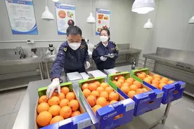 中伊水果空中走廊打开，首批伊朗柑橘抵沪图片