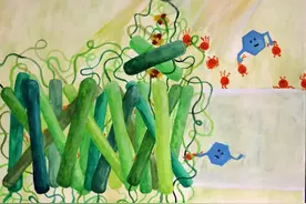 科学家巧妙"破解"光合作用 为可再生能源的突破铺平道路图片