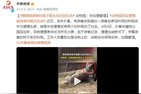 猩猩被游客扔瓶子砸头后扔回反击，动物园：会加强管理图片