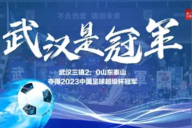 武汉是冠军，有谁不服！图片