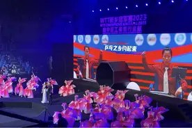 WTT新乡冠军赛图片