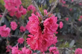 知心胜过千言万语，懂心胜过锦上添花图片