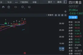 坐拥四川最大金矿，四川黄金一季度营收净利润双双大涨图片