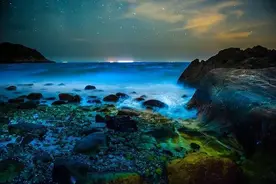 绝美“蓝眼泪”又上热搜！网友：它对人体有害吗？哪里打卡更合适？图片