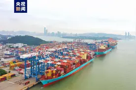 厦门港首次并靠三艘15万吨级超大货轮图片