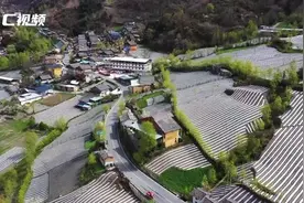 C视频｜走进川江“第一村”：青衣江源的红色村庄图片