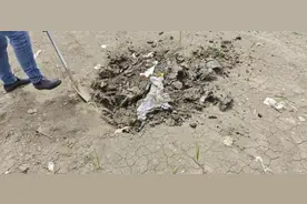 江苏扬州一块农地成垃圾填埋场  当地镇政府回应：历史原因，正在整改图片