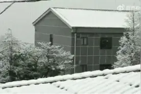 多地暴雪，冷到破纪录，4月“俯冲式降温”正常吗？专家解读图片