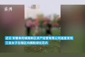 三名女子摘绿化月季发视频配乐“大王来抓我啊”，被罚两百元图片