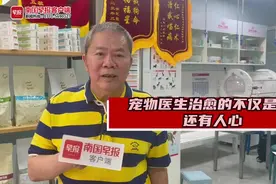 宠物医生治愈的不仅是动物，还有人心丨世界兽医日图片