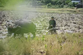传统农耕图片