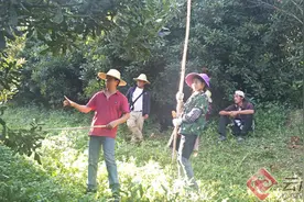 李晓波：“挑粪技术员”的逆袭之路图片