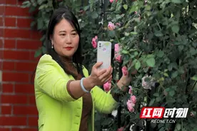 临武县五中围墙上“挤”了蔷薇花图片