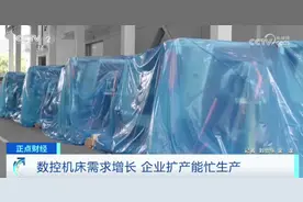 好“机”会！4000亿元大产业！国产，超“香”……图片