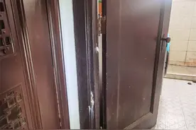 又到了白蚁出飞的季节，房管部门：切勿自行消杀图片