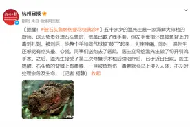提醒！被石头鱼刺伤要尽快就诊图片