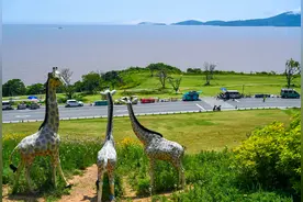 每一步都是风景 游客热捧舟山“最美公路”螺塘线图片