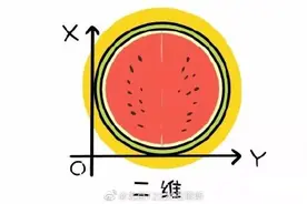 做彩超时说的“二维”、“三维”和“四维”都是什么意思？图片