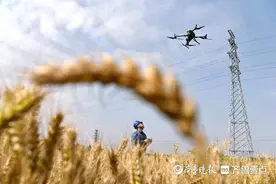 “三夏”农忙保障用电，无人机高空巡视高压线图片