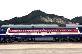 泰国榴莲“坐”火车来成渝地区！网友：能带它上高铁吗？图片