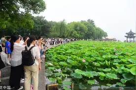 杭州端午接待外地游客244万，恢复到2019年的116%图片