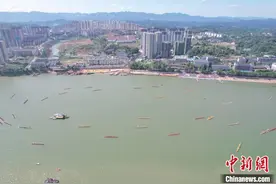 中国传统龙舟之乡湖南沅陵“群龙闹江”沅江竞渡图片