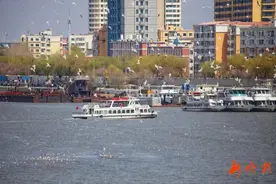 @哈尔滨人，通航啦！每周两天，坐船去“网红海”～图片