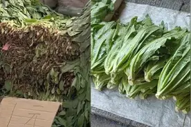 卖菜大爷赚21元被罚11万元 当地法院回应图片