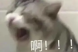 300辆大巴免费乘坐！五月天演唱会出行攻略戳这里图片