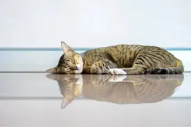 3个消暑误区不要犯！图片