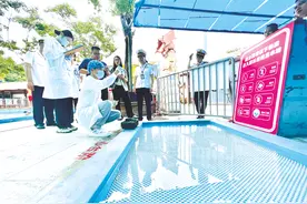 南宁市对游泳场所进行专项监督检查 泳池水质“大体检” 保障市民“放心游”图片