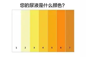 尿液变色是疾病前兆？关于尿液的 8 种颜色，一文说清！图片