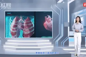 计算机视觉技术分析建模 维护癌症患者心理健康图片