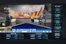 刘刚：电力股难有趋势性机会视频封面