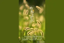 秋天的果实图片