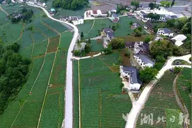 恩施市三岔镇：意气风发向振兴图片