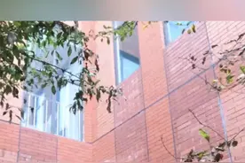 太暖了！涿州一“猪坚强”被困防雨檐8天，聊城消防给它搭了个“滑梯”图片