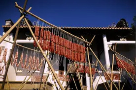 南方视频｜黄圃腊味源三社，香飘四海慰乡愁图片