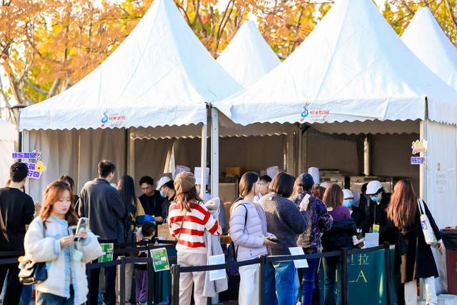 浦东打造亚洲户外演艺新标杆！上海中心城区大型户外音乐节首秀前滩体育公园