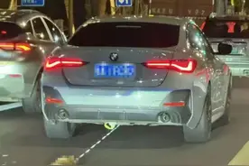 女子开车当街拖行猫咪，警方已介入！“她在宠物友好餐厅当厨师”图片