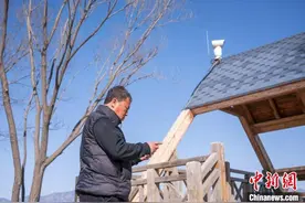 北京野鸭湖湿地AI“鹰眼”上线 鸟类监测实现“智”控图片