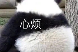 放假了还不开心？你可能是因为……图片