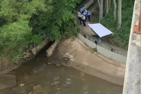 香港“黑雨”过后清理河道 意外发现男性尸体图片
