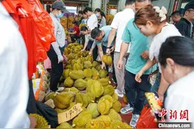广西南宁：泰国榴莲大量上市 吸引民众选购图片