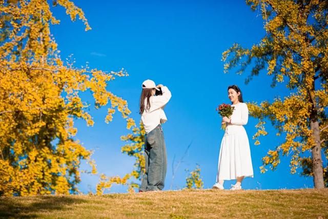 抓住秋天的尾巴 | 台儿庄古城秋色打卡指南，附私藏机位！