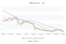渤海化学：2024年上半年亏损3.16亿元图片