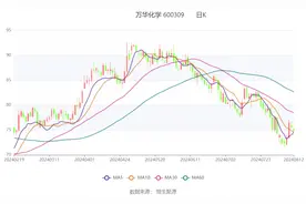 万华化学：2024年上半年净利润同比下降4.60% 拟10派5.2元图片