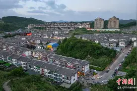 贵州百里杜鹃：天赐“凉”缘 避暑旅居“候鸟”成群图片