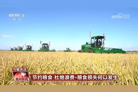 节约粮食杜绝浪费 为何做？怎么做？图片